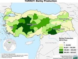 images\TU\cropprod\Turkey_barley_preview.jpg